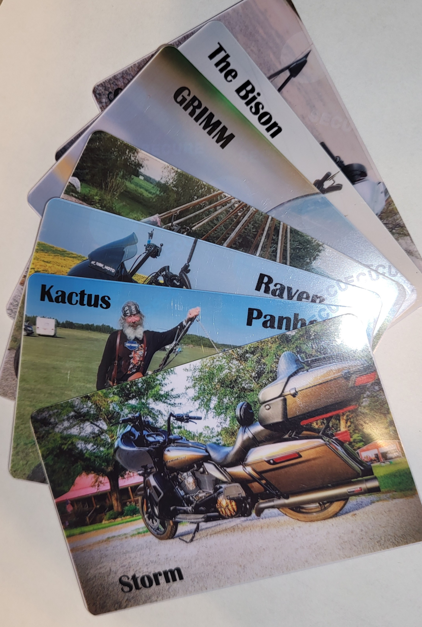 Picture for category Bikertok Trading Cards TM
