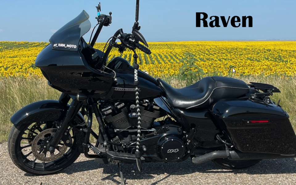 Picture of Raven Trading Card