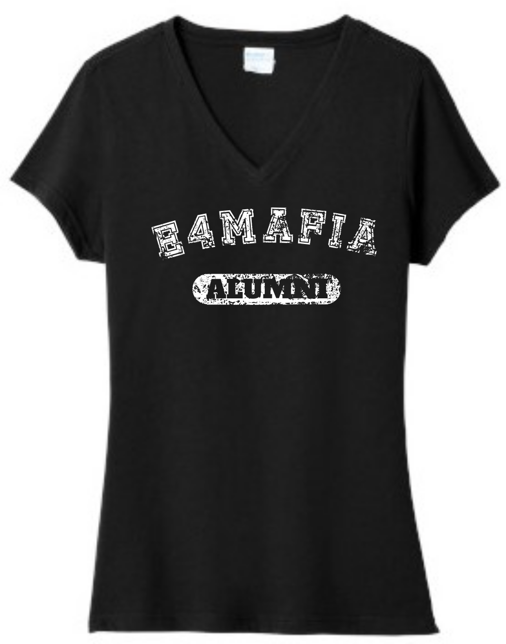 Picture of HLC E4 Alumni Ladies V-Neck